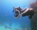 Sue Austin: Sott’acqua con la sedia a rotelle